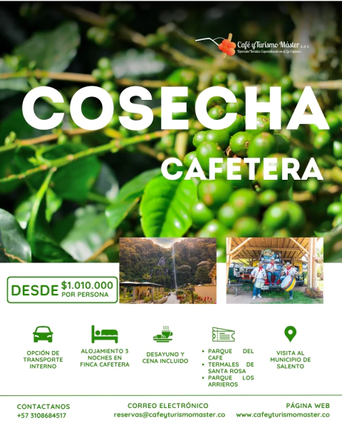 Cosecha Cafetera