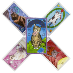 Tarot Cat - Dark Prophecy