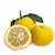 Imagem do Muda de Yuzu Enxertado – Limão Japonês Raro e Aromático