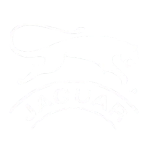 ventasjaguarshoes