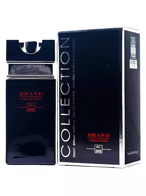 Perfume Silver Scent N°066 Brand Collection 25ml