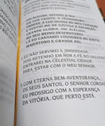 Categoria 5