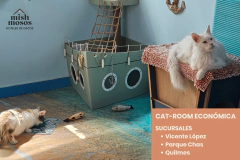 PAQUETE 7 NOCHES EN CAT-ROOM ECONÓMICA - Hoteles de Gatos Mishmosos
