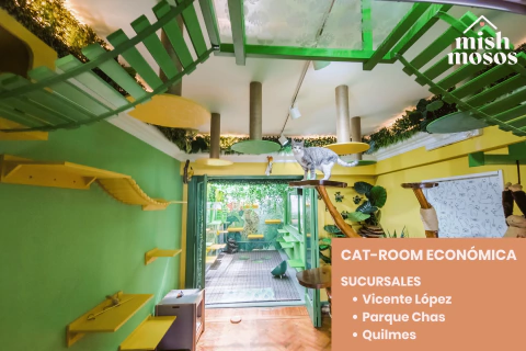 PAQUETE 7 NOCHES EN CAT-ROOM ECONÓMICA - comprar online