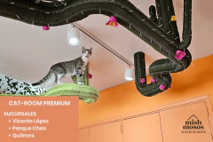 PAQUETE 15 NOCHES EN CAT-ROOM PREMIUM