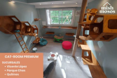 PAQUETE 15 NOCHES EN CAT-ROOM PREMIUM - Hoteles de Gatos Mishmosos