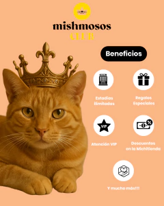 Club Mishmosos - Plan Michi-Ilimitado Anual - comprar online