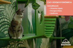 PAQUETE 7 NOCHES EN CAT-ROOM ECONÓMICA en internet