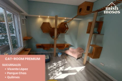 PAQUETE 15 NOCHES EN CAT-ROOM PREMIUM en internet