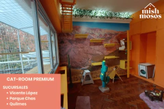 PAQUETE 15 NOCHES EN CAT-ROOM PREMIUM