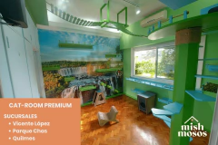 Imagen de PAQUETE 15 NOCHES EN CAT-ROOM PREMIUM