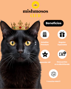 Club Mishmosos - Plan Michi-Frecuente Anual - comprar online