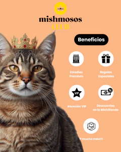 Club Mishmosos - Plan Michi-Cuidados Anual - comprar online