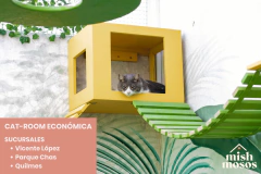 PAQUETE 7 NOCHES EN CAT-ROOM ECONÓMICA