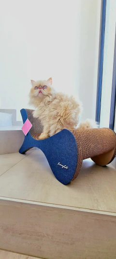 Rascador de Cartón para Gatos Selene 62x40x38 - Hoteles de Gatos Mishmosos