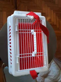 Transportadora Mishmosos - comprar online