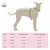 Polera Para Galgo - Modelo Velvet Terciopelo Gris Claro (Con mangas) - comprar online