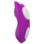 Vibrador de calcinha com prendedor magnético - 9 Modos de vibração e controle remoto - comprar online