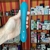 Vibrador ponto G Leôncio - 10 modos de vibração - Recarregável - loja online