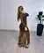 VESTIDO MIDI ESTAMPADO TULE COM MANGAS E FENDAS LATERAIS - ONÇA - comprar online