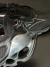 Mizuno Wave Prophecy 14 - loja online