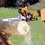 MOTOSIERRA MS180CBE - 32CC - 4,2KG - 2HP - 40CM STIHL - comprar online