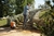 HIDROLAVADORA RE110 110BAR 440LT/H STIHL - tienda online