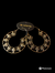 Aros India