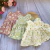Vestido M para baby alive e reborn de 36cm