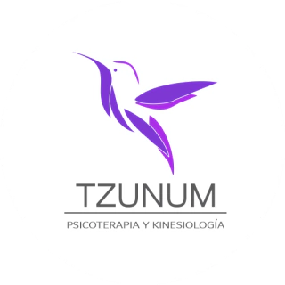 Psicoterapia y Kinesiología