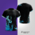 Arte em vetor interclasse Poseidon - comprar online