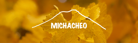 Imagen del carrusel Michacheo Nutrición