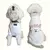 Buzo para mascota personalizado combinado con su dueño crudo