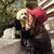 combinacion buzo persona con buzo mascota match con tu perro