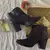 bota preta de cano curto - comprar online