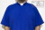 Camisa Clerical Romana Manga Curta na internet