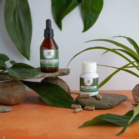 Cardo Mariano – Pack Extracto Doble 1:10 + Cápsulas Naturales | Willka Pacha - comprar online