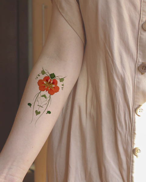 Capuchinha — Espelho Botânico Tattoo - comprar online
