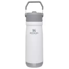 Botella termica Stanley 650ML en internet