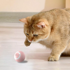Bola Interactiva para Mascotas Automatica Rosa - comprar online