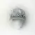 Cap Full Silver Flores y Plumitas