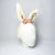 Cute Bunny en internet