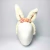 Cute Bunny