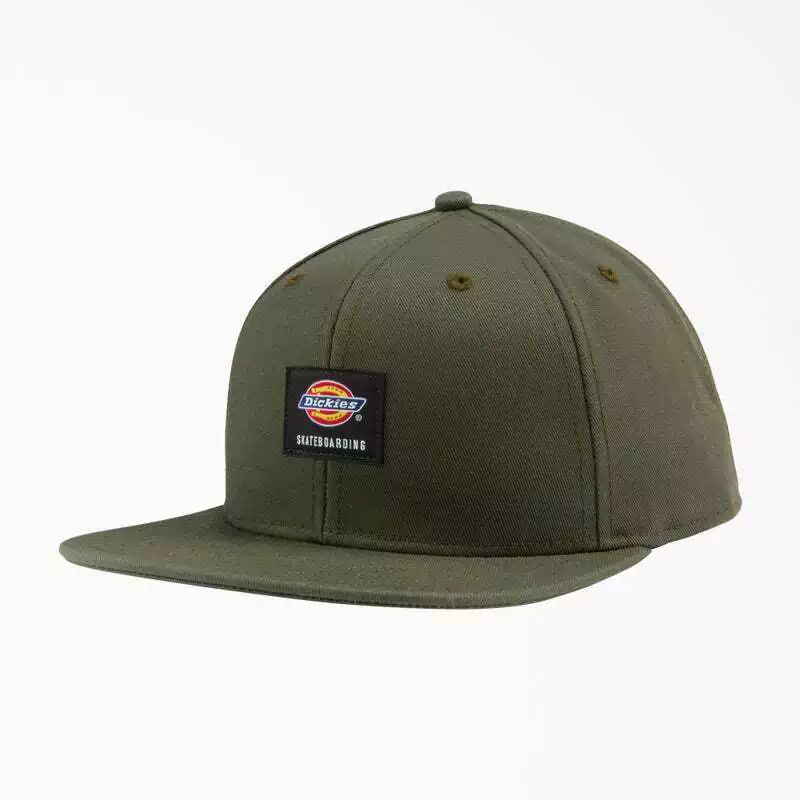 Gorra Dickies Skateboarding Flat Bill - comprar online