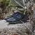 Imagen de Zapatillas Hitec V-lite Ox Trail Racer