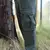 Pantalon Trown Cargo W24 - La Lomita Outdoors