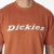 Remera Dickies Wordmark Graphic T-Shirt - La Lomita
