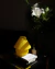 Imagen de Opal (A pedido)