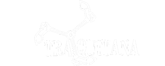 Traquitana Brinquedos