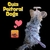 Guia Peitoral Dogz